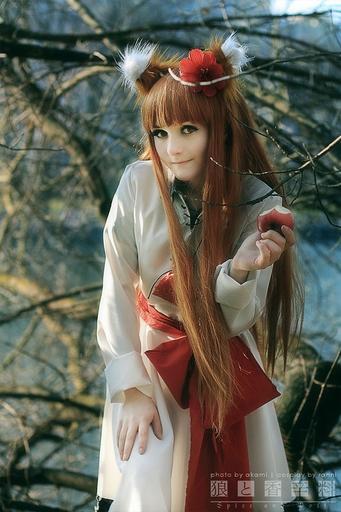 Обо всем - [Best Anime Cosplay] Подборка косплея Хоро (Spice and Wolf)